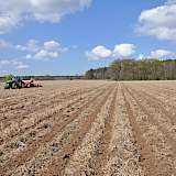 Strip Till im Jahr 2011 bei Landwirt Jörg Schulze-Wext in Sachsen-Anhalt mit dem Kuhn Striger.