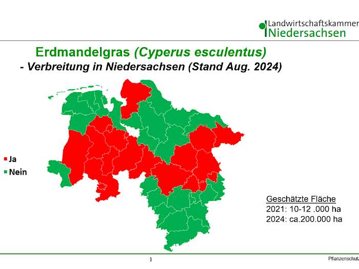 Verbreitung von Erdmandelgras in Niedersachsen