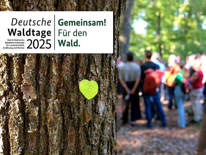 Baum mit Herz